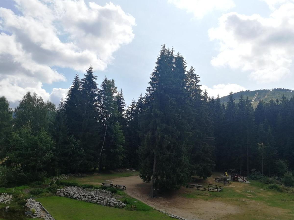 Penzion Bila Voda Harrachov Exterior photo